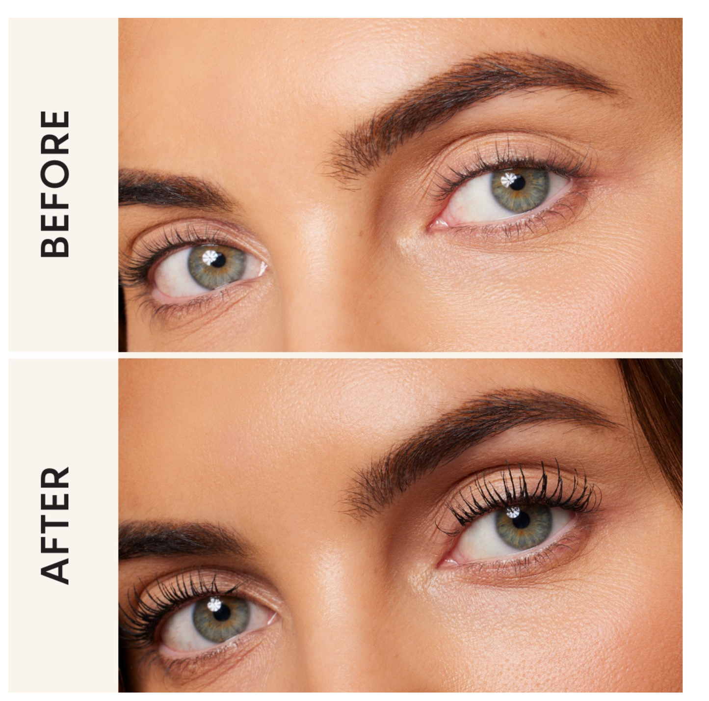 COFFRET GOSH EYE CANDY (VEGAN, CERTFIE NON ALLERGENE)