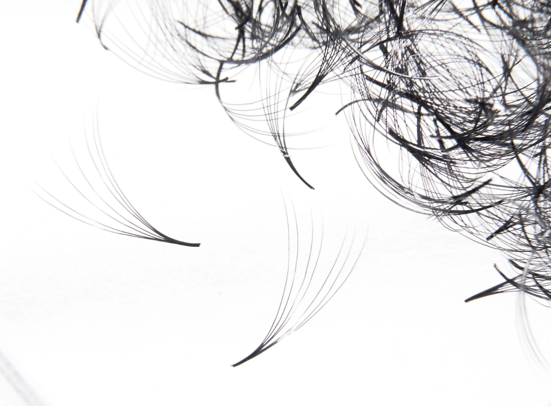 Bouquets Préfaits Promade | Loose Fans 6D 0.07