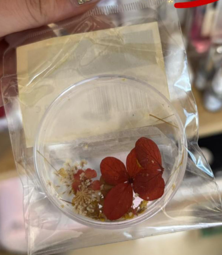 Fleur séchée N•2