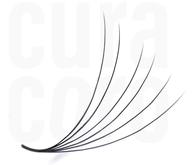 Bouquets Préfaits Promade | Loose Fans 6D 0.07