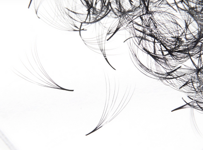 Bouquets Préfaits Promade | Loose Fans 6D 0.07