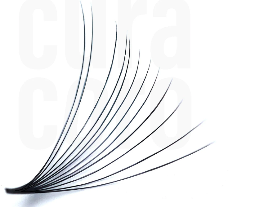 Bouquets Préfaits Promade | Loose Fans 12D 0.03