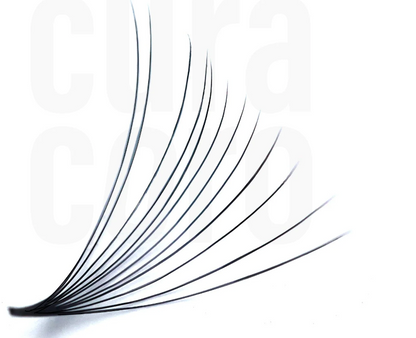 Bouquets Préfaits Promade | Loose Fans 12D 0.03