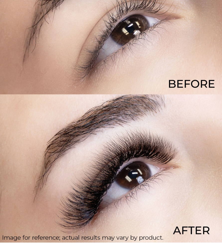 Bouquets Préfaits Promade | Loose Fans 8D 0.03