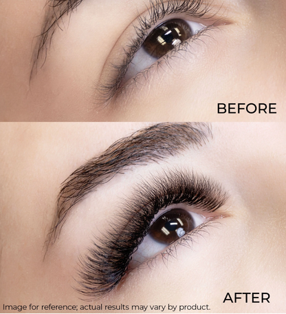 Bouquets Préfaits Promade | Loose Fans 8D 0.03