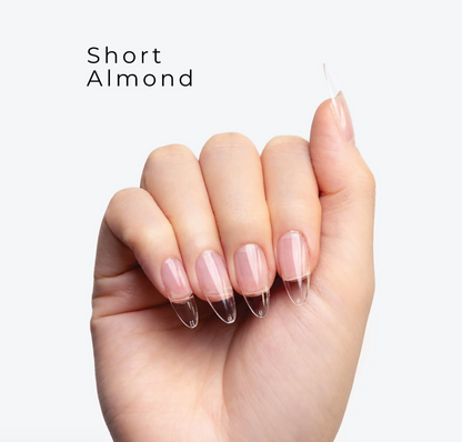 Curacoro capsules américaines 360 pcs Short Almond (amande)