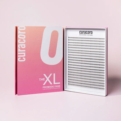 Bouquets Préfaits Promade | Boîte XL 6D 0.07