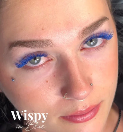 Bouquets Préfaits Couleur | Boîte mixte 5D 0,07
Blue / CC / 9-10-11-12-13-14mm