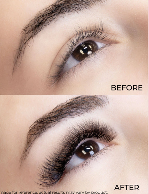 Bouquets Préfaits Promade | Boîte XL 6D 0.07