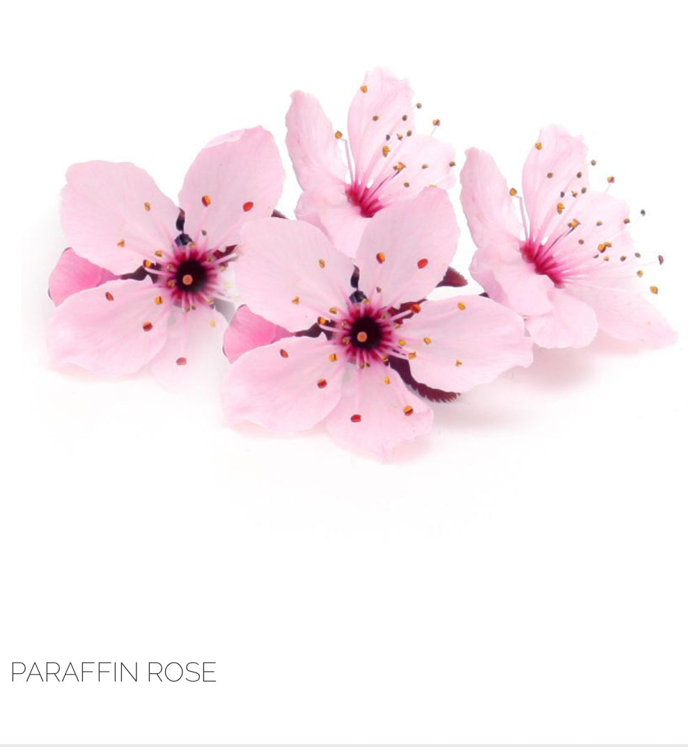 Beauté des mains/des pieds PARAFFINE Rose -500ml